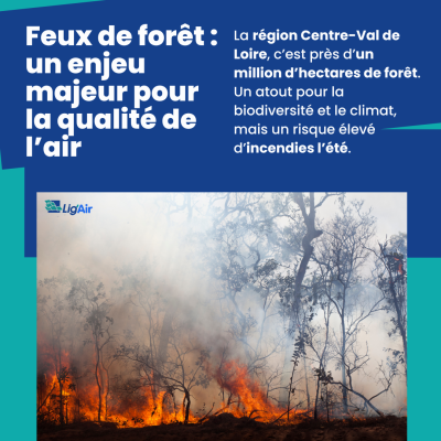 🔥Les incendies ont-ils un impact sur la qualité de l'air ?