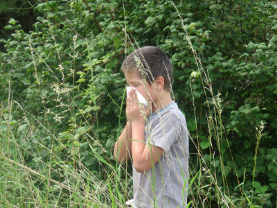 🌿Les pollens de graminées sont déjà bien présents !