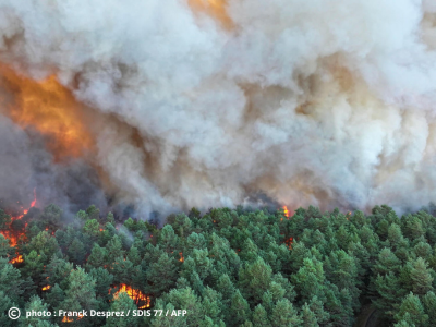 Épisode de pollution dans le Loiret : les fumées des incendies de Fontainebleau impactent la qualité de l'air