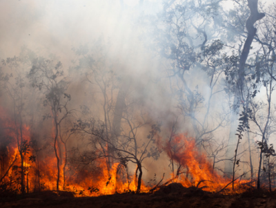 🔥 Impact des grands feux de forêts de juillet 2026 sur la qualité de l'air du Centre-Val de Loire