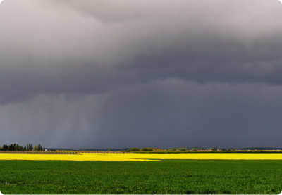 Rapport d'étude disponible - Surveillance des pesticides en 2024